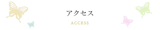 アクセス Access
