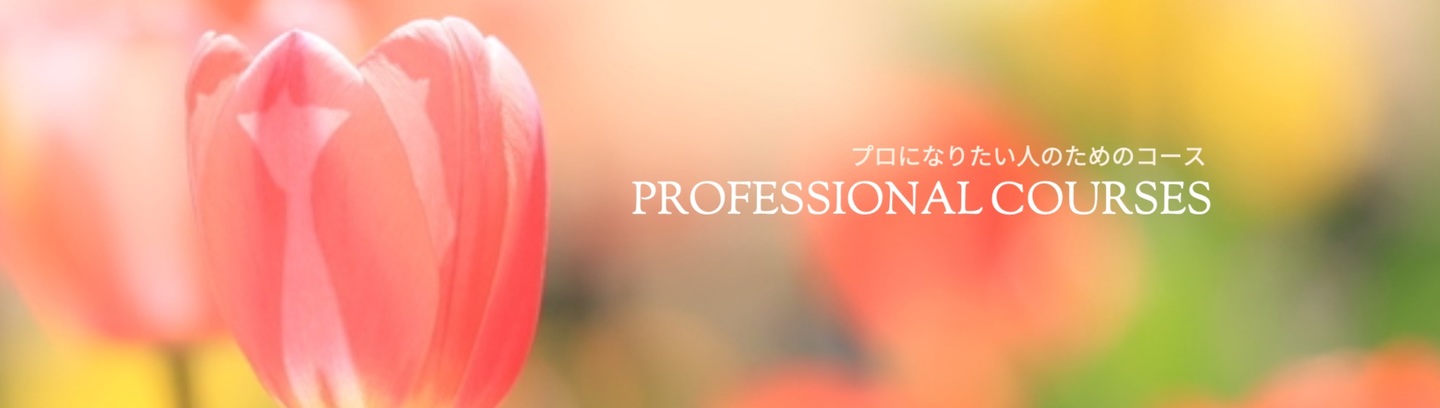 Seminar セミナー&トレーニング